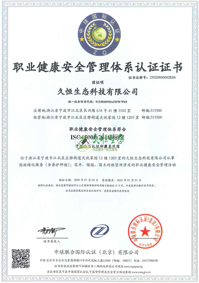 嘉善职业健康安全管理体系ISO45001证书